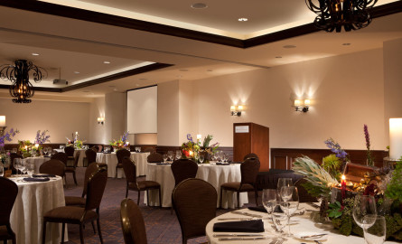 Hotel Contessa Ballroom